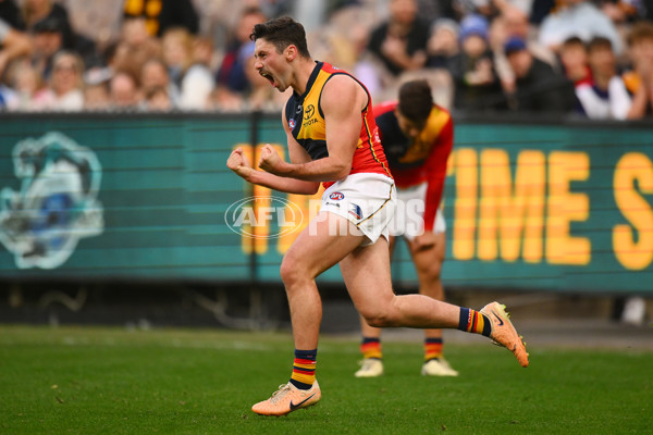 AFL 2024 Round 12 - Hawthorn v Adelaide - A-49876334