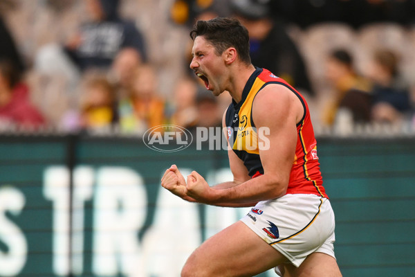 AFL 2024 Round 12 - Hawthorn v Adelaide - A-49876338