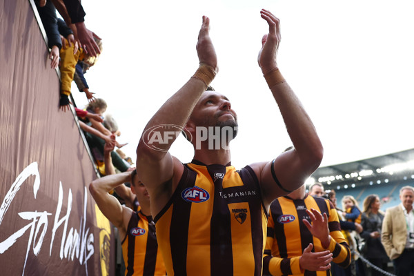 AFL 2024 Round 12 - Hawthorn v Adelaide - A-49881086