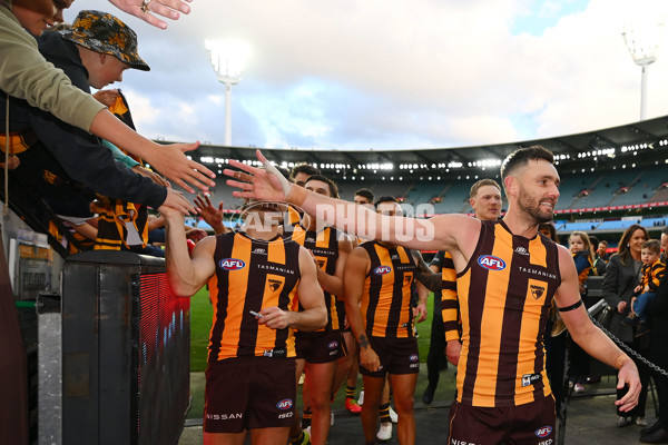 AFL 2024 Round 12 - Hawthorn v Adelaide - A-49881163