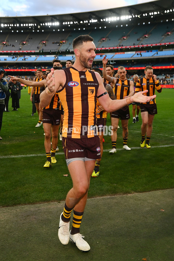 AFL 2024 Round 12 - Hawthorn v Adelaide - A-49881374