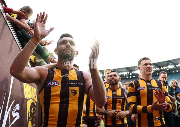 AFL 2024 Round 12 - Hawthorn v Adelaide - A-49883765