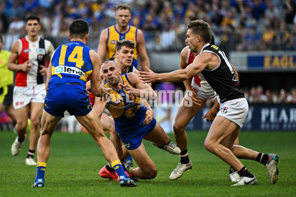 AFL 2024 Round 12 - West Coast v St Kilda - A-49894710