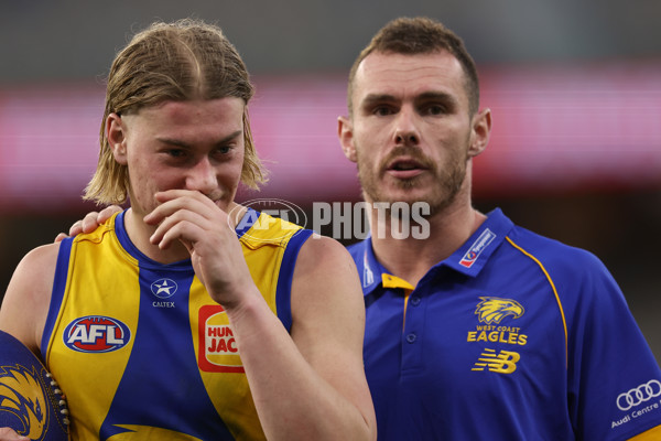 AFL 2024 Round 12 - West Coast v St Kilda - A-49894755