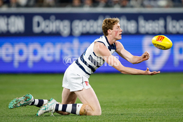 AFL 2024 Round 12 - Geelong v Richmond - A-49897504