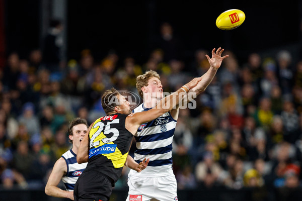 AFL 2024 Round 12 - Geelong v Richmond - A-49898755