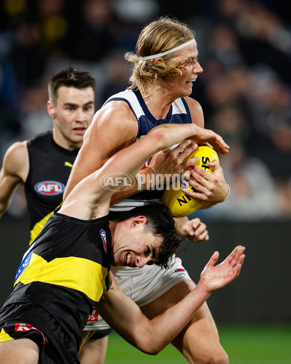 AFL 2024 Round 12 - Geelong v Richmond - A-49900274