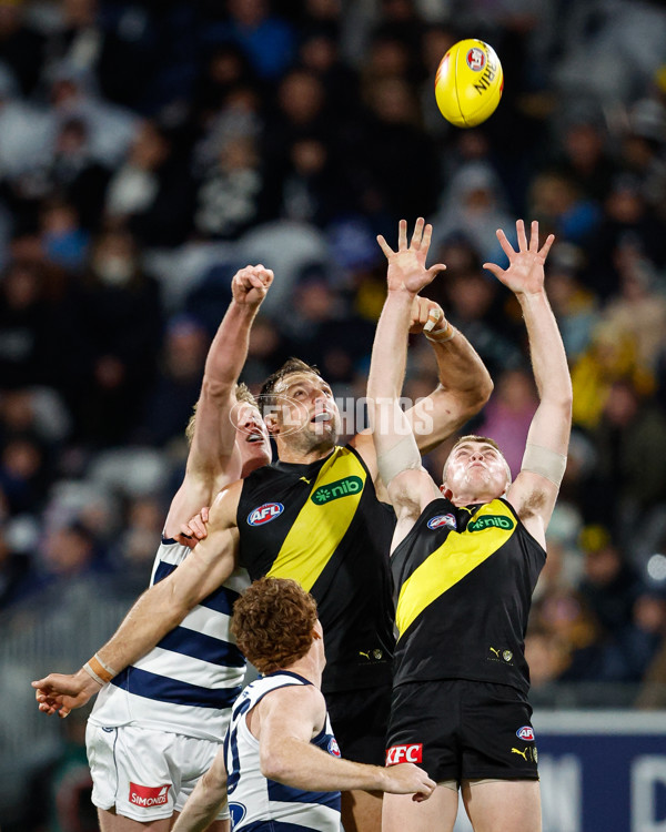 AFL 2024 Round 12 - Geelong v Richmond - A-49900275