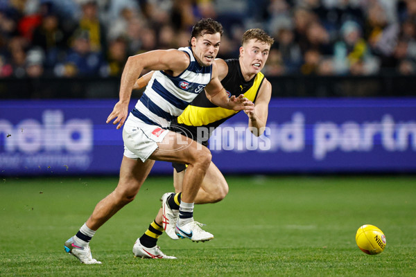 AFL 2024 Round 12 - Geelong v Richmond - A-49900316