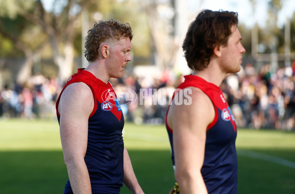 AFL 2024 Round 12 - Melbourne v Fremantle - A-49910125