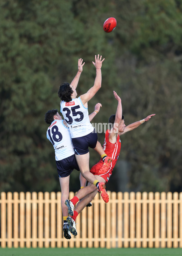 Coates Talent League U18 Boys 2024 Round 10 - Bendigo v Gippsland - A-49914957