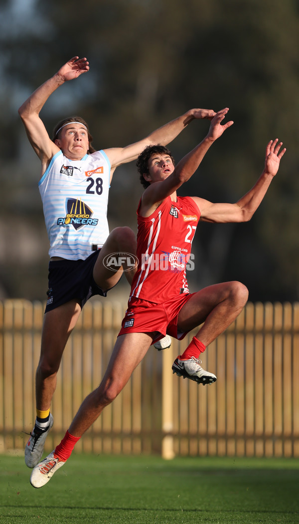 Coates Talent League U18 Boys 2024 Round 10 - Bendigo v Gippsland - A-49922521