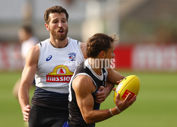 AFL 2024 Training - Western Bulldogs 050624 - A-50001701