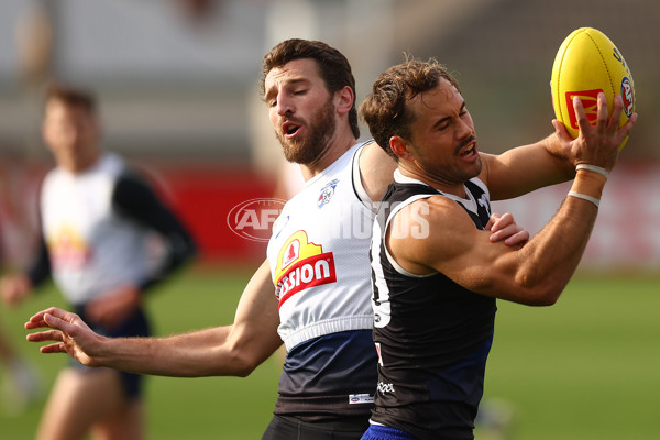 AFL 2024 Training - Western Bulldogs 050624 - A-50051977