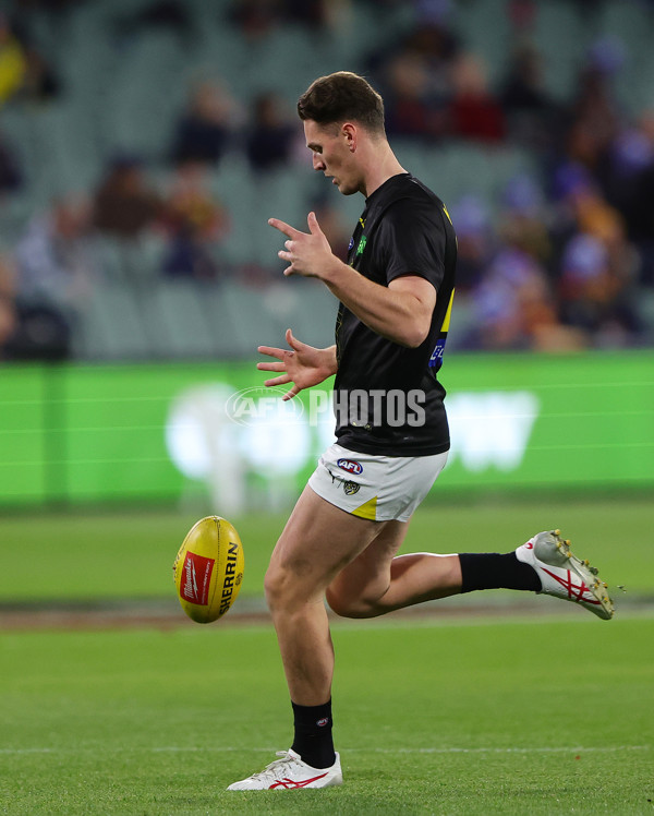 AFL 2024 Round 13 - Adelaide v Richmond - A-50126867