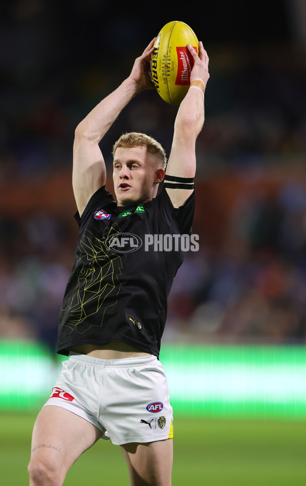 AFL 2024 Round 13 - Adelaide v Richmond - A-50126876