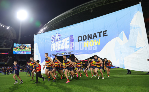 AFL 2024 Round 13 - Adelaide v Richmond - A-50164106