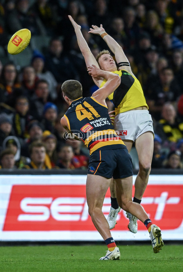 AFL 2024 Round 13 - Adelaide v Richmond - A-50164123