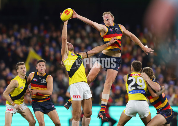 AFL 2024 Round 13 - Adelaide v Richmond - A-50164124