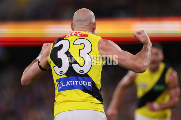 AFL 2024 Round 13 - Adelaide v Richmond - A-50164127