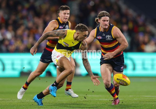 AFL 2024 Round 13 - Adelaide v Richmond - A-50164134