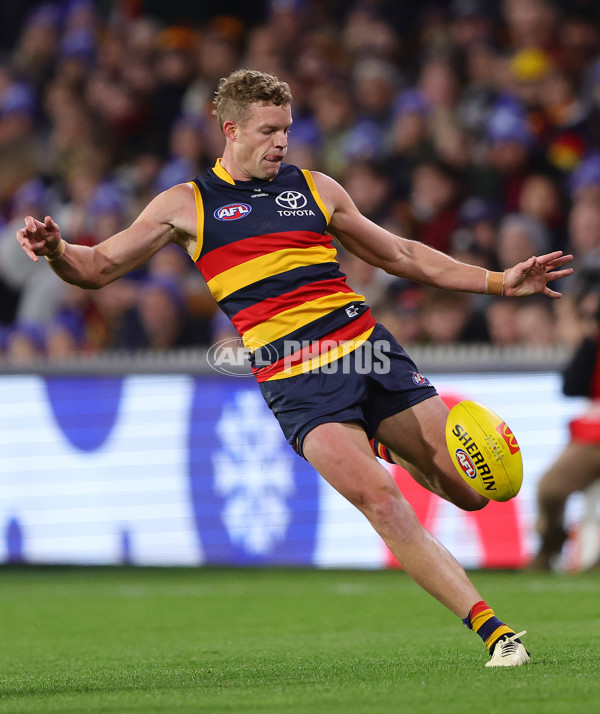 AFL 2024 Round 13 - Adelaide v Richmond - A-50164135