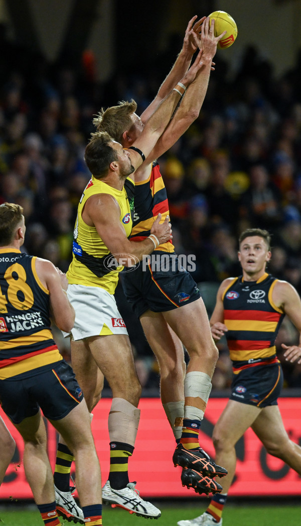 AFL 2024 Round 13 - Adelaide v Richmond - A-50164152