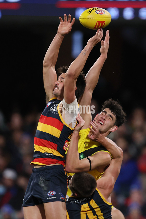 AFL 2024 Round 13 - Adelaide v Richmond - A-50164153