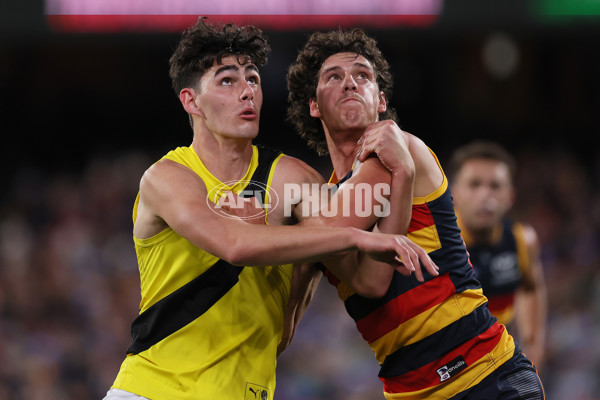 AFL 2024 Round 13 - Adelaide v Richmond - A-50164162