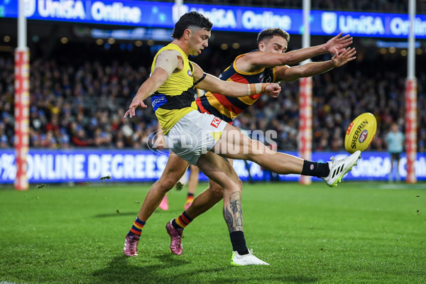 AFL 2024 Round 13 - Adelaide v Richmond - A-50164172