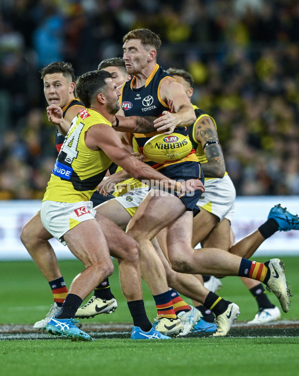 AFL 2024 Round 13 - Adelaide v Richmond - A-50186803