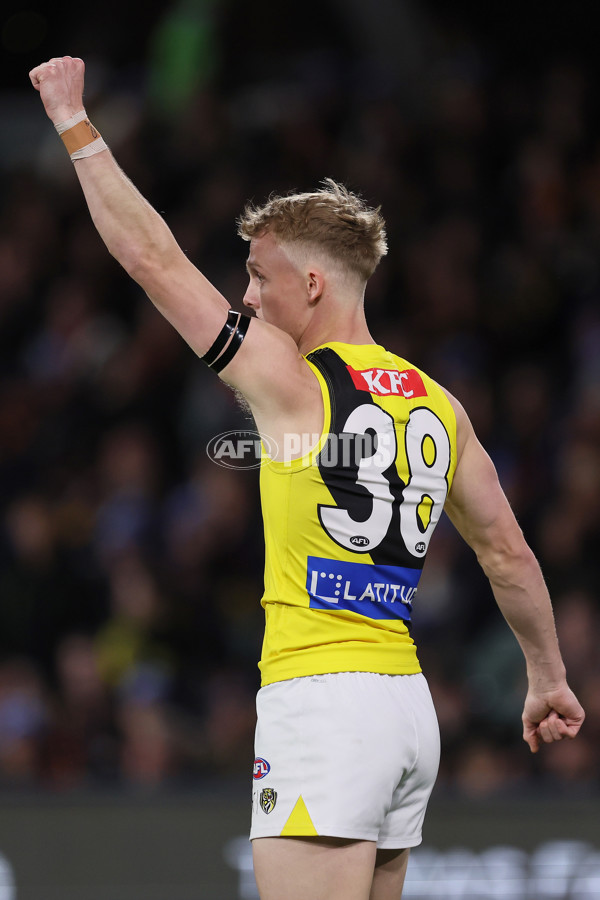 AFL 2024 Round 13 - Adelaide v Richmond - A-50186804