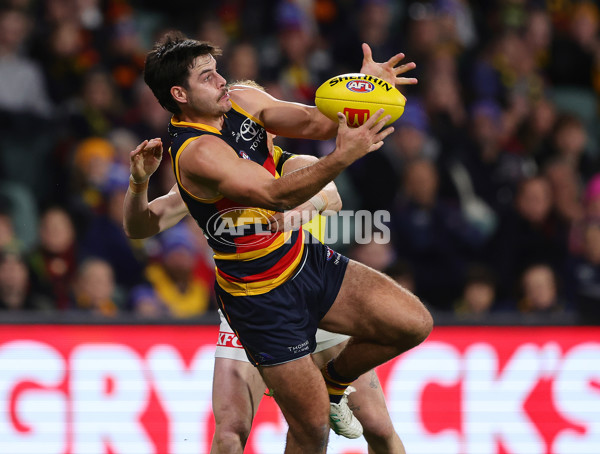 AFL 2024 Round 13 - Adelaide v Richmond - A-50186833