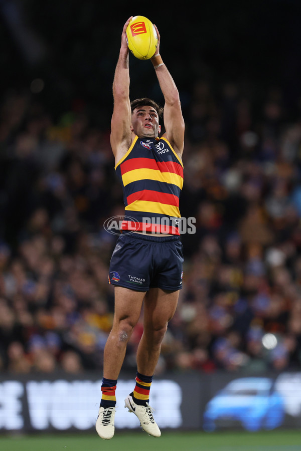 AFL 2024 Round 13 - Adelaide v Richmond - A-50186837
