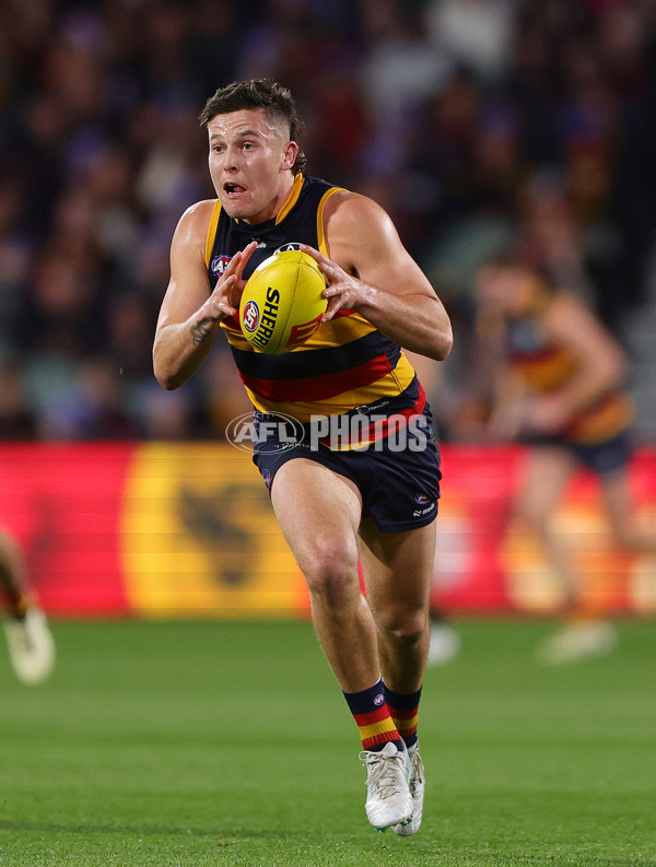 AFL 2024 Round 13 - Adelaide v Richmond - A-50186842