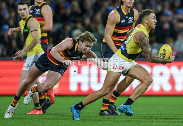 AFL 2024 Round 13 - Adelaide v Richmond - A-50186844