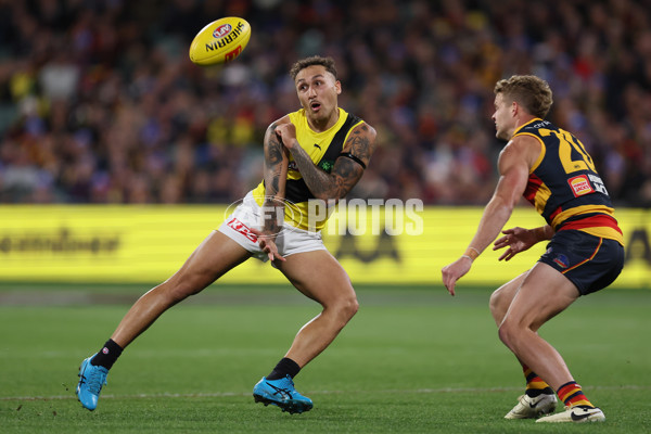 AFL 2024 Round 13 - Adelaide v Richmond - A-50186845