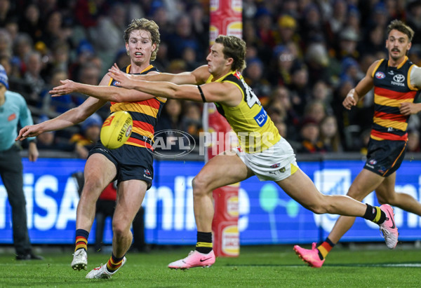 AFL 2024 Round 13 - Adelaide v Richmond - A-50186852