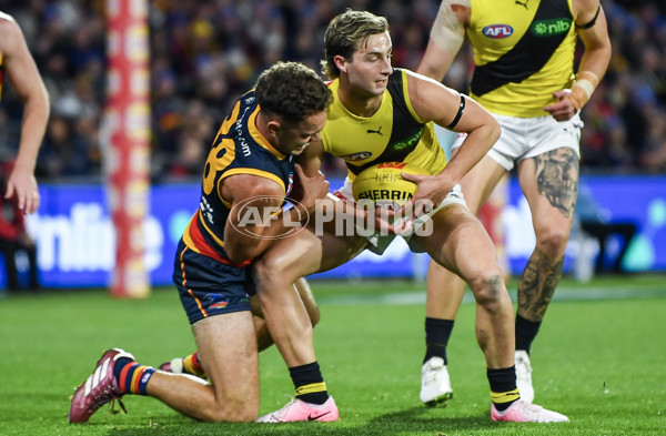 AFL 2024 Round 13 - Adelaide v Richmond - A-50186854