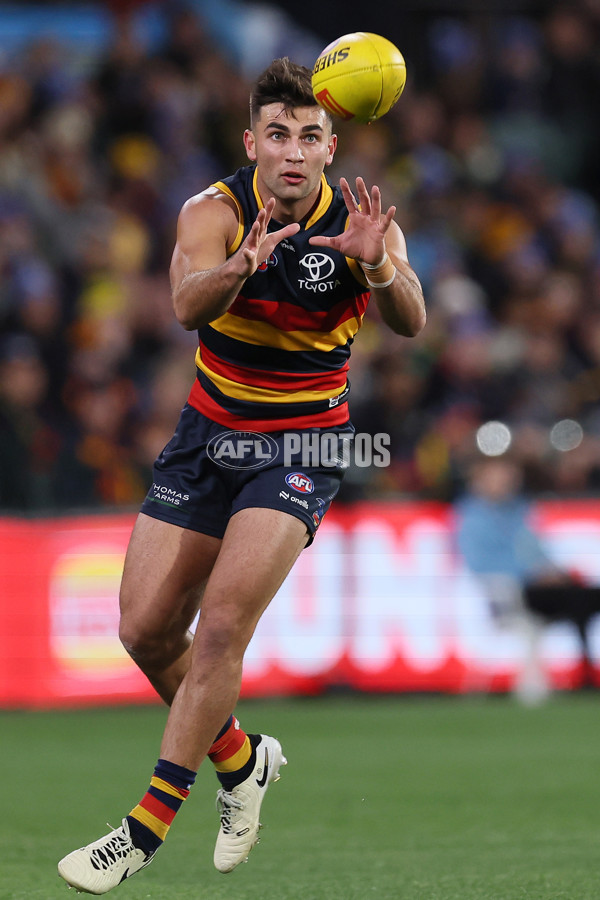 AFL 2024 Round 13 - Adelaide v Richmond - A-50186858