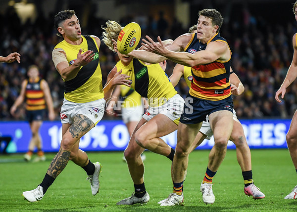 AFL 2024 Round 13 - Adelaide v Richmond - A-50186860