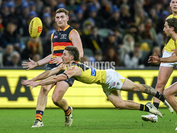 AFL 2024 Round 13 - Adelaide v Richmond - A-50186877