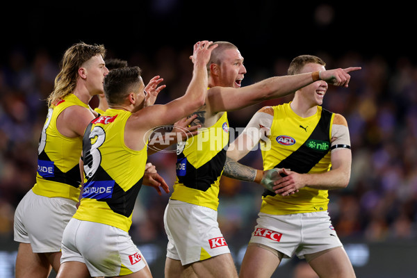 AFL 2024 Round 13 - Adelaide v Richmond - A-50186890