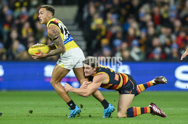 AFL 2024 Round 13 - Adelaide v Richmond - A-50186893