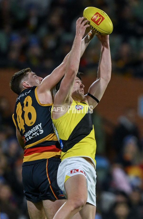 AFL 2024 Round 13 - Adelaide v Richmond - A-50186897
