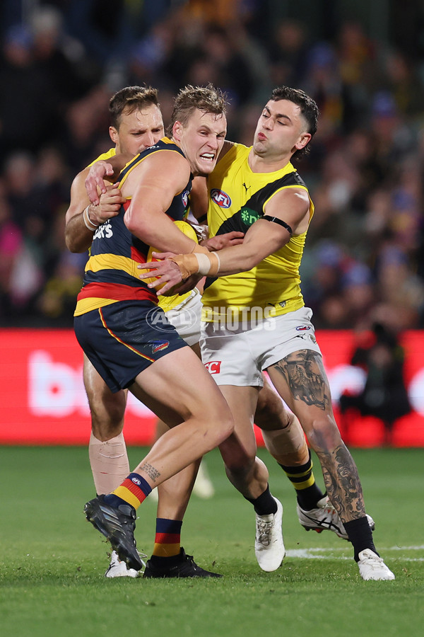 AFL 2024 Round 13 - Adelaide v Richmond - A-50208009