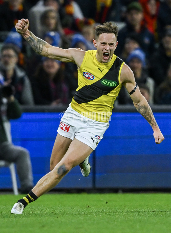 AFL 2024 Round 13 - Adelaide v Richmond - A-50208013