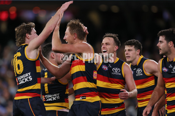 AFL 2024 Round 13 - Adelaide v Richmond - A-50208024