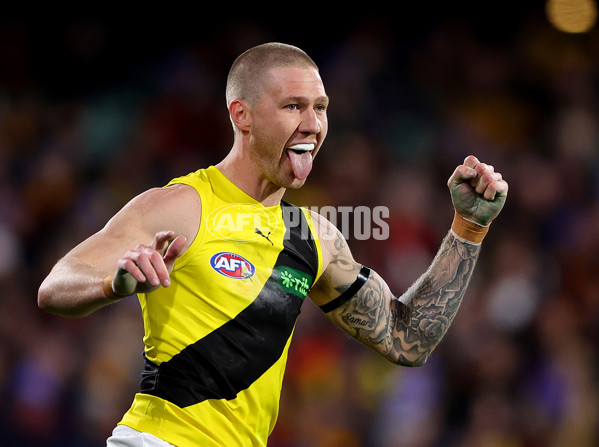 AFL 2024 Round 13 - Adelaide v Richmond - A-50208039