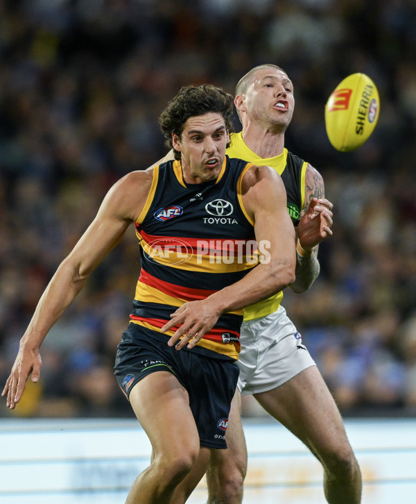 AFL 2024 Round 13 - Adelaide v Richmond - A-50208040